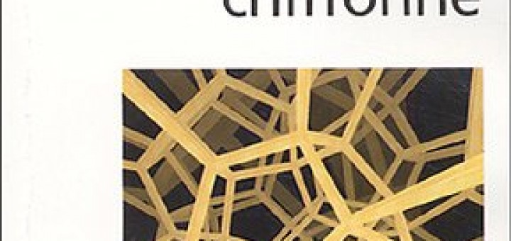 L'Univers chiffonné de Jean-Pierre Luminet