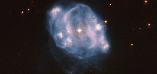 La chrysalide de la naine blanche