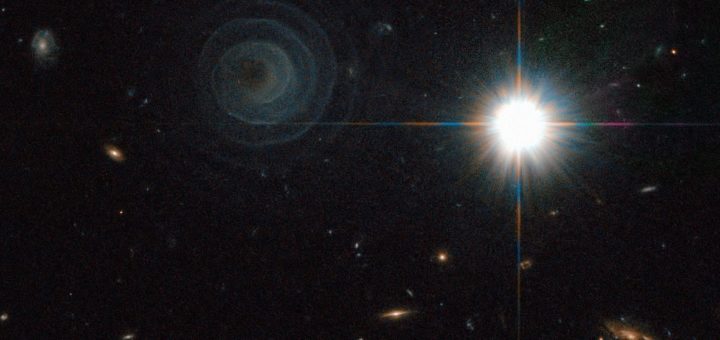 Ballet céleste ou lac des Cygnes